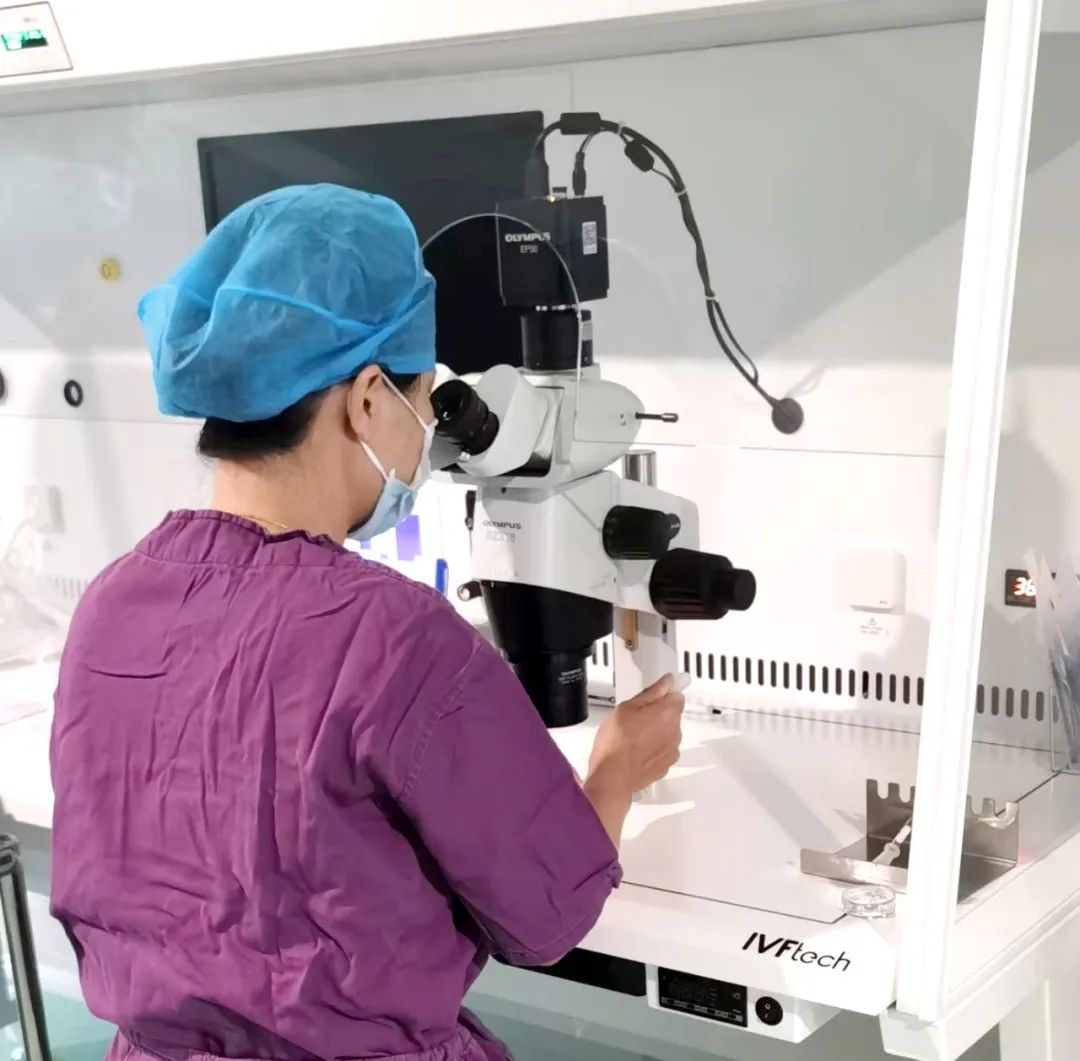 【喜訊】保山首例無精子癥通過試管嬰兒技術(shù)助孕成功！